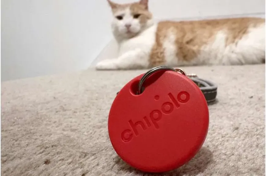A Chipolo Bluetooth tracker is displayed while a cat rests