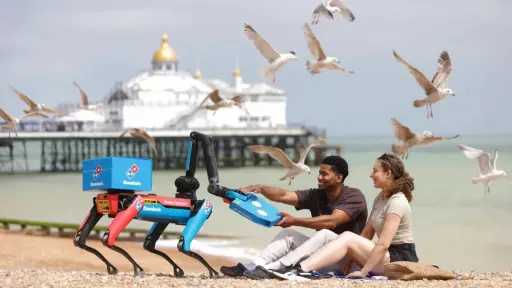 Robot dog delivers pizza at...