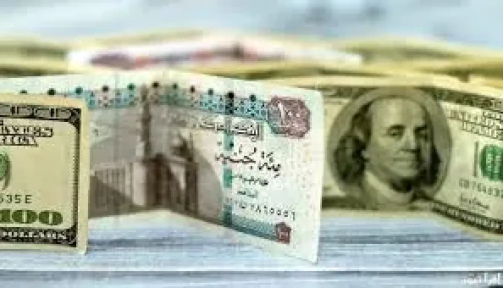 Surprise in Dollar Exchange Rate Ahead of CBE Meeting