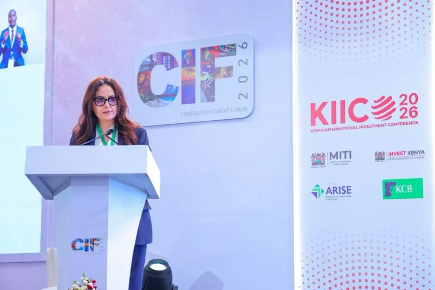 COMESA Attracts Record FDI Inflows as Investment Surges 154% to $65 Billion