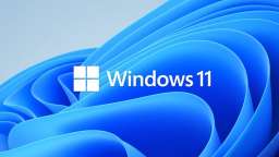 Windows 11 August Security Update...