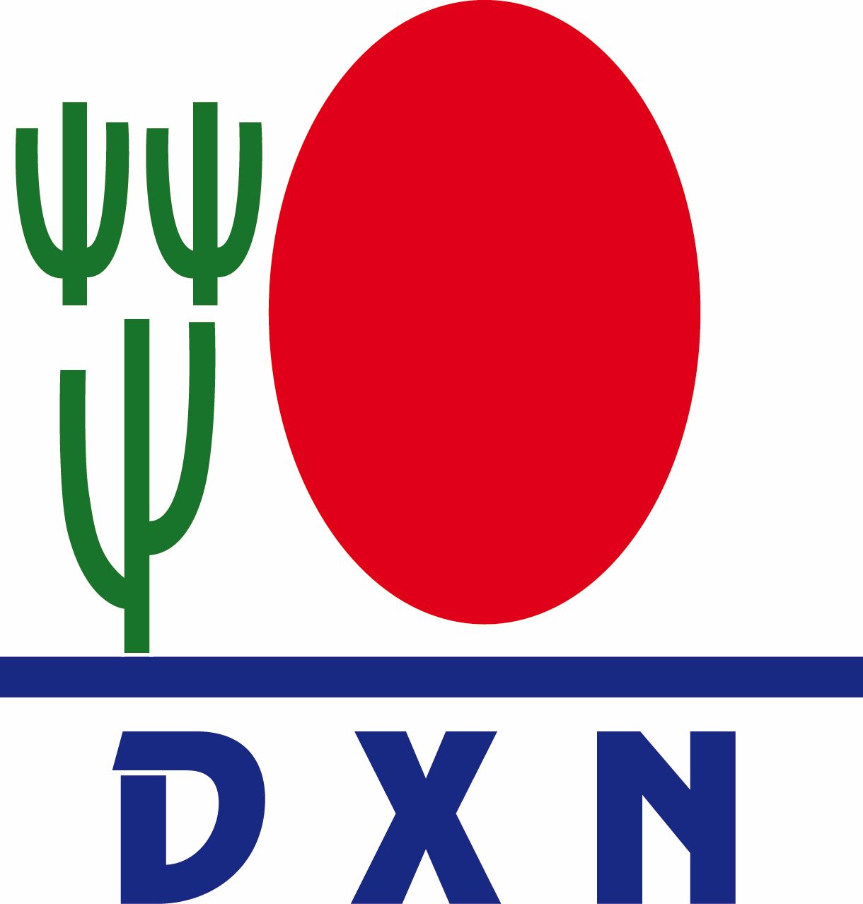 DXN